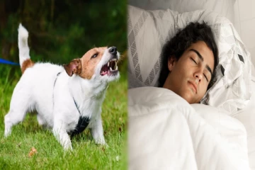 ஜோதிடம்: இந்த அறிகுறிகள் இருந்தால் வீட்டில் கெட்டது நடக்க போகிறதாக அர்த்தமாம்!