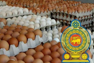 முட்டை இறக்குமதிக்கு எதிர்ப்பு: வெளியான தகவல்