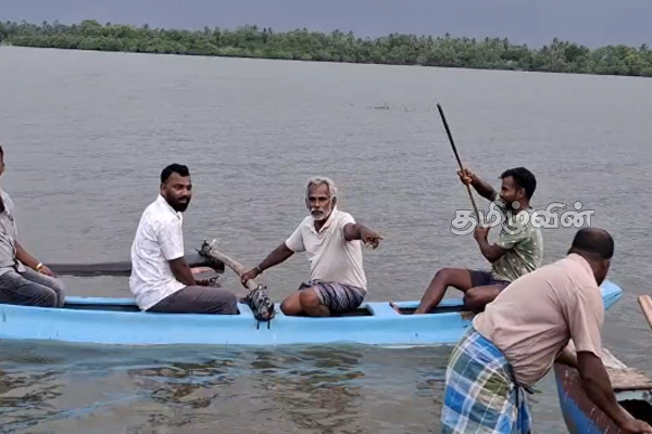 வழிமாறி திரிந்த காட்டு யானைக்கூட்டம் : அச்சத்தில் மக்கள் | Wild Elephants Has Been Wandering For 4 Days