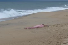 கடலில் நீராடிய இளைஞனுக்கு நேர்ந்த துயரம் - கதறும் பெற்றோர்