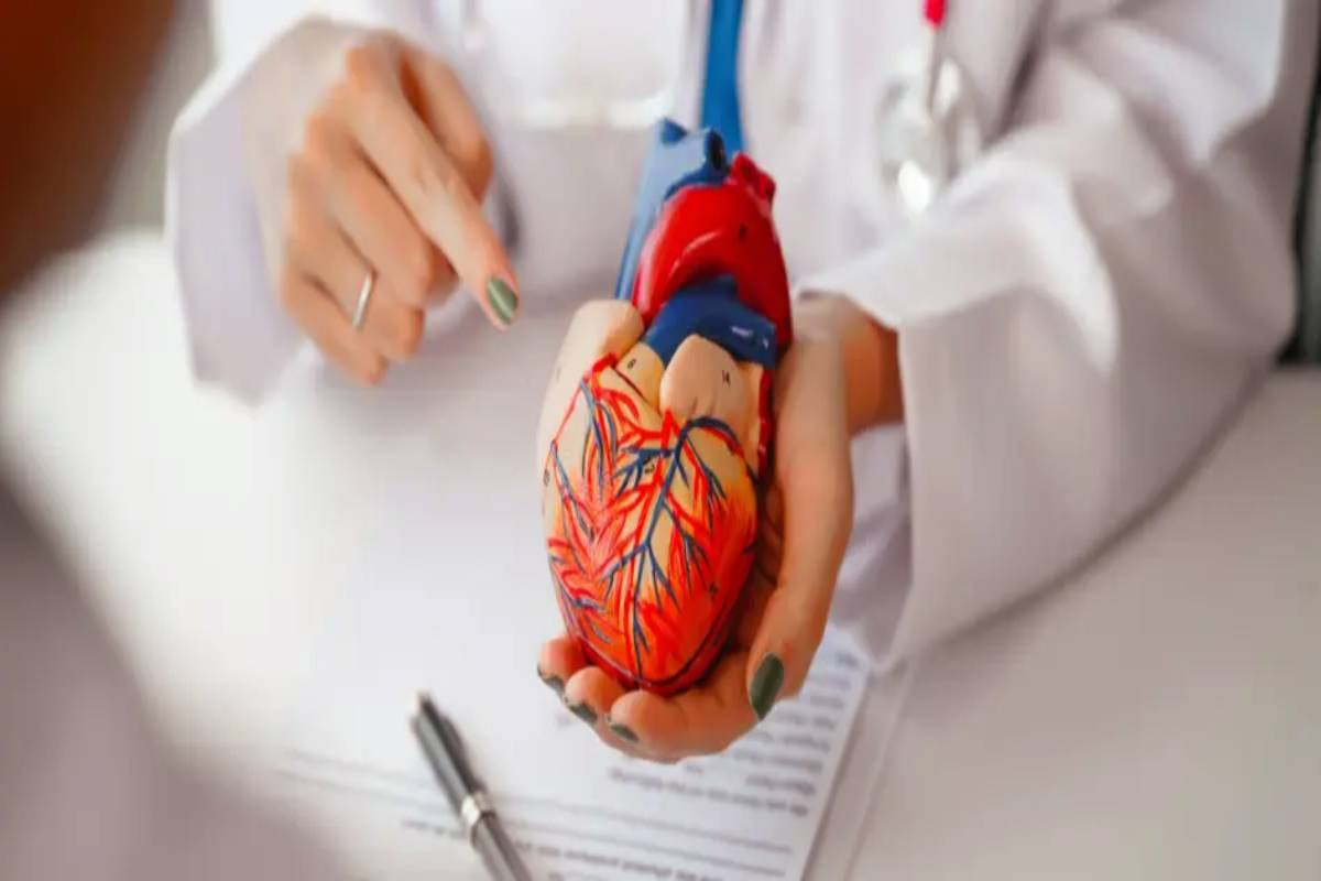 உங்கள் இதயம் ஆபத்தில் இருப்பதற்கான அறிகுறிகள் - இதை மட்டும் புறக்கணிக்காதீங்க | Signs That The Heart Is In Danger Shouldnt Ignore உங்கள் இதயம் ஆபத்தில் இருப்பதற்கான அறிகுறிகள் - இதை மட்டும் புறக்கணிக்காதீங்க | Signs That The Heart Is In Danger Shouldnt Ignore