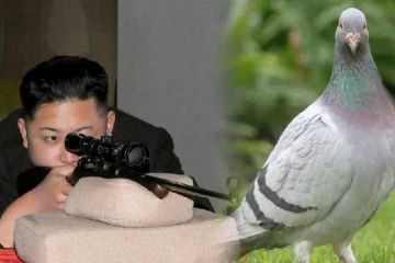 சீனாவிலிருந்து வரும் புறாக்களை வேட்டையாட உத்தரவு..கரணம் என்ன தெரியுமா?