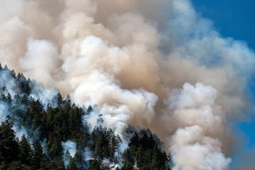 ஐரோப்பா வரை நீண்ட கனடா காட்டுத் தீ!