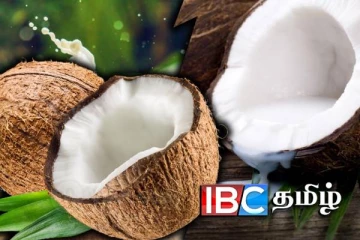 நாட்டை வந்தடைந்த தேங்காய் பால் கப்பல்