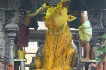 திருவண்ணாமலை அண்ணாமலையார் கோயிலில் நந்திக்கு சிறப்பு அபிஷேகம்