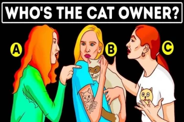 IQ Test: பூனை சொந்தக்காரர் யார் தெரியுமா? புதிரை 5 வினாடிகளில் தீர்ப்பவர் ஞானி