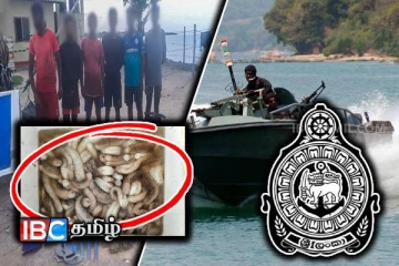 மன்னாரில் சட்டவிரோதமாக கடலட்டை பிடித்த 6 பேர் கைது