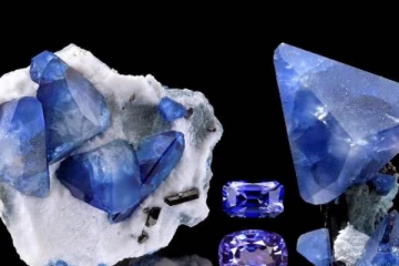 இலங்கையில் குடும்பம் ஒன்றுக்கு கிடைத்த பெரும் அதிர்ஷ்டம்