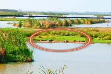 முல்லைத்தீவு நந்திக்கடல் மஞ்சள் பாலத்திற்கு செல்லும் மக்களே மிகவும் அவதானம்!