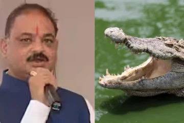 பாஜக எம்.எல்.ஏ வீட்டில் 3 முதலைகள்: வருமான வரித்துறை சோதனையின் போது அதிர்ச்சி