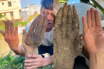 மண்ணுக்குள் தெரிந்த கை விரல்கள்... தோண்டிய விவசாயிக்கு கிடைத்த ஆச்சரியம்