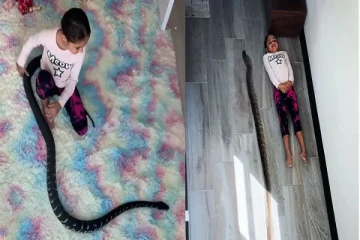 பாம்புடன் செல்லமாக விளையாடும் சிறுமி! வைரலாகும் திக் திக் காட்சிகள்