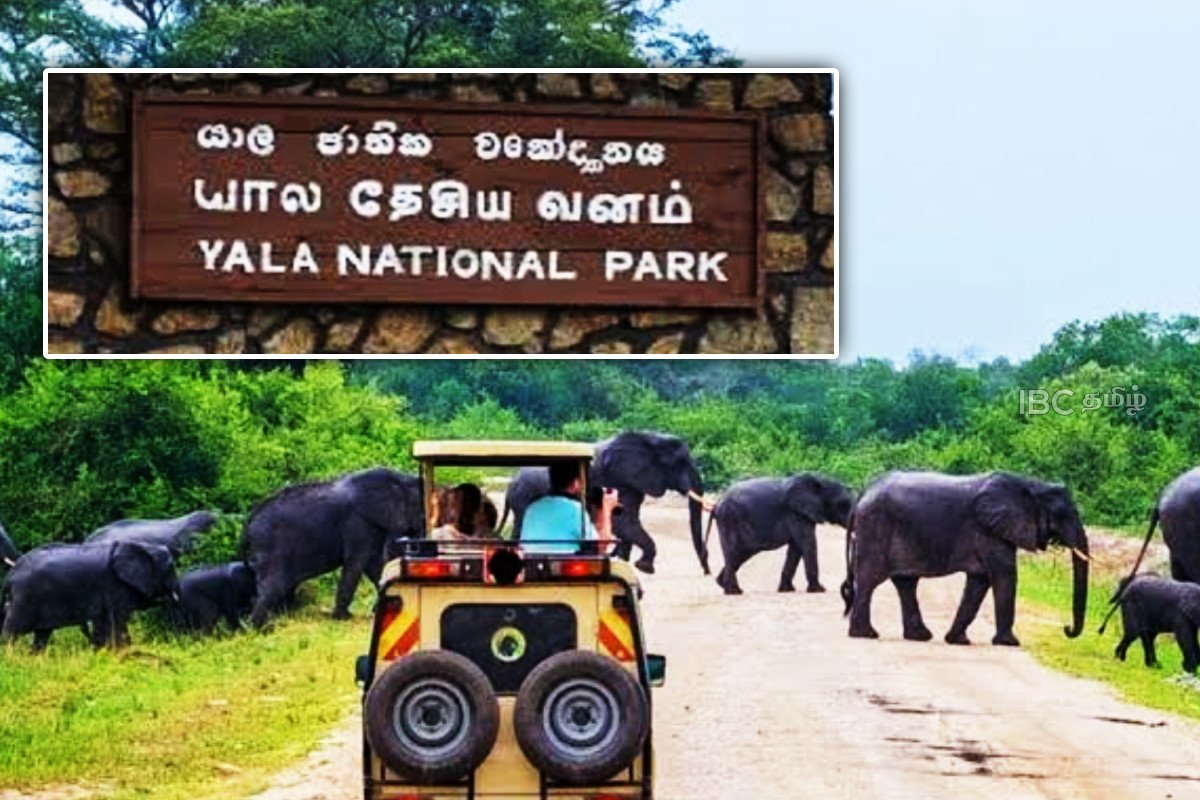 தற்காலிகமாக மூடப்படும் யால தேசியப் பூங்கா | Yala National Park Temporarily Closed To Public