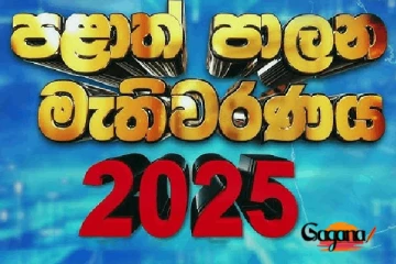 පළාත් පාලන ආයතනයක 50%ක් යම් පක්ෂයකට නොලැබුණහොත් වෙන දේ