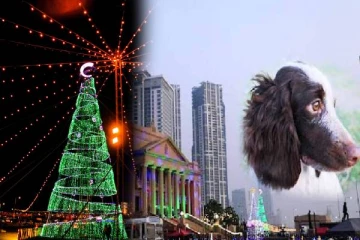 கலவரபூமியில் கலைக்கட்டும் நத்தார் கொண்டாட்டம்(Video)