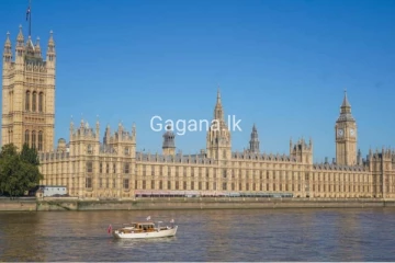 පාර්ලිමේන්තුවේ ඔත්තුකාරයෙක්.