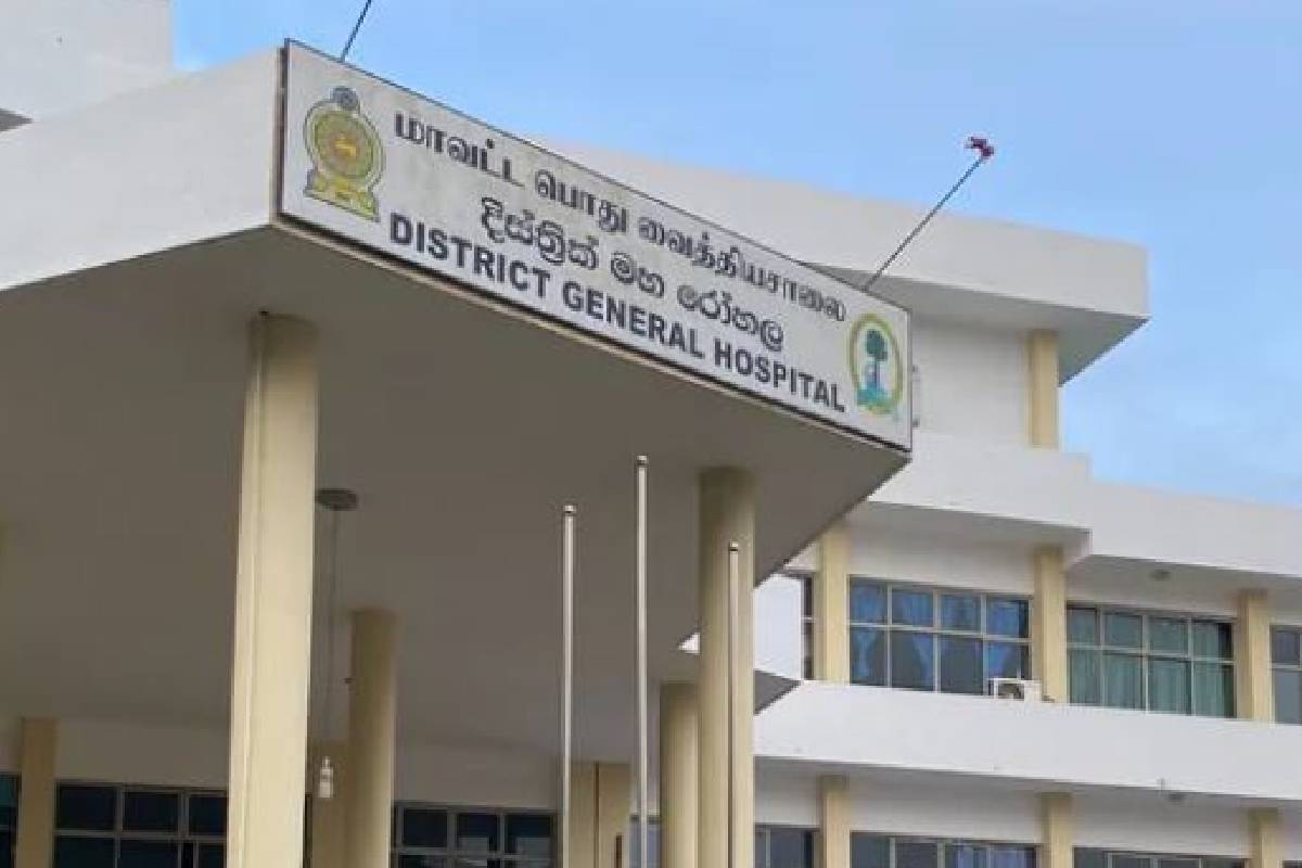 சுகாதார அமைச்சின் நடவடிக்கை – வவுனியா வைத்தியசாலைக்கு நிபுணர்கள் நியமனம் | New Surgeons Appointed Vavuniya General Hospital சுகாதார அமைச்சின் நடவடிக்கை – வவுனியா வைத்தியசாலைக்கு நிபுணர்கள் நியமனம் | New Surgeons Appointed Vavuniya General Hospital