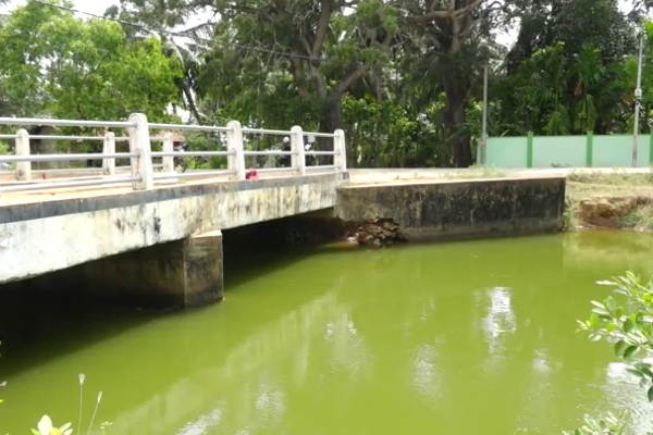 ஆபத்தான பாலம் தொடர்பில் கிளிநொச்சி மக்கள் முன்வைத்துள்ள கோரிக்கை (Photos) | Request Made People Kilinochchi Dangerous Bridge