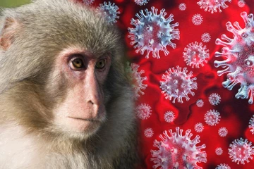 Monkey Pox வைரஸ் தொற்று யாரை அதிகம் தாக்கும் தெரியுமா?