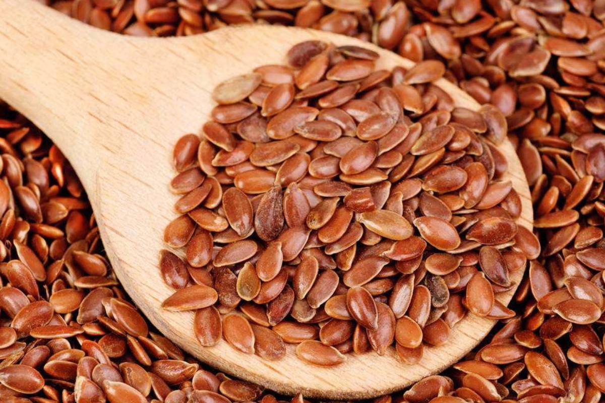ஆளி விதைக்குள் இவ்வளவு நன்மைகளா? | Do Flaxseeds Have So Many Benefits ஆளி விதைக்குள் இவ்வளவு நன்மைகளா? | Do Flaxseeds Have So Many Benefits
