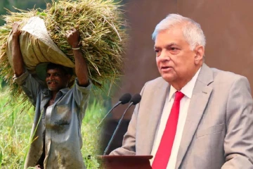 கிளிநொச்சி விவசாயிகளுக்கு ஜனாதிபதியின் மகிழ்ச்சியான செய்தி