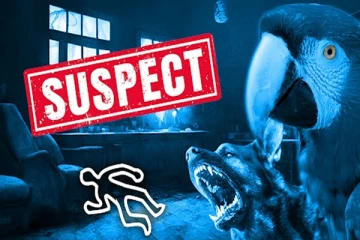 சாட்சி சொன்ன கிளி; ஆயுள் தண்டனை பெற்ற கொலைக்காரன்