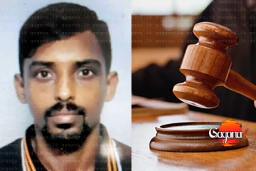 ලොකු පැටි නැවත රක්ෂිත බන්ධනාගාරයට