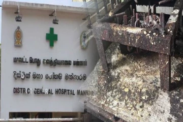 மன்னார் பொது வைத்தியசாலை சூழலில் சுகாதார சீர்கேடுகள்