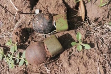 வவுனியாவில் கைக்குண்டுகள் மீட்பு