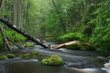 இயற்கையோடு பயணிப்போம்...