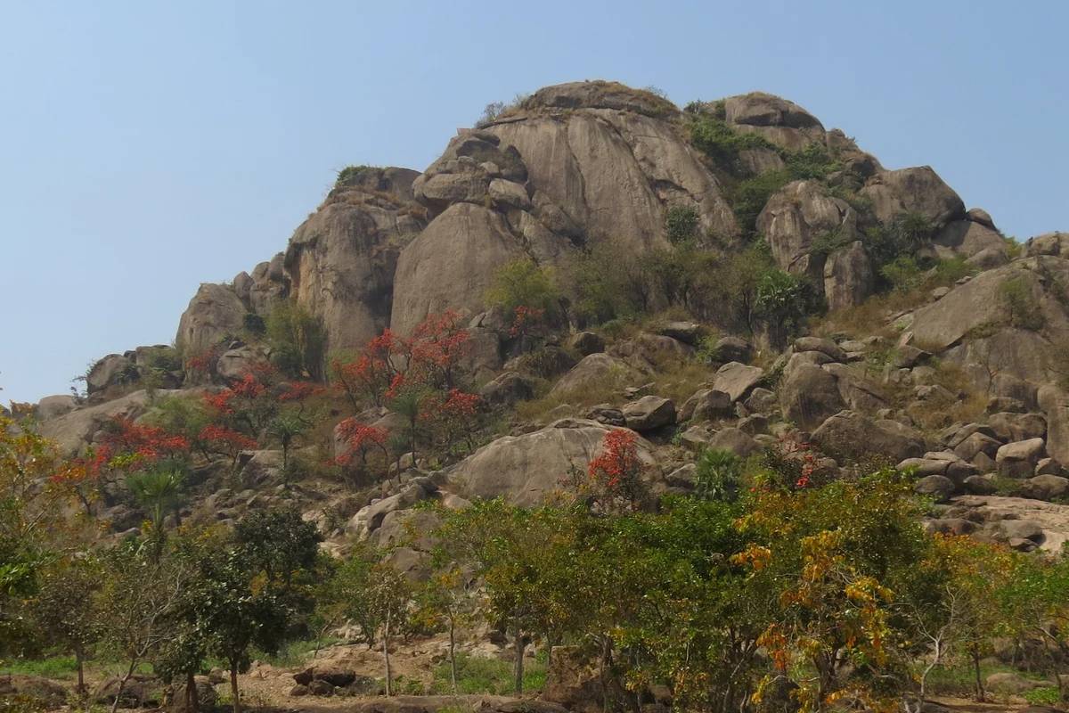 உலகிலேயே நீருக்கடியில் இருந்து முதலில் வந்த நிலப்பகுதி.., இந்தியாவில் எங்கு உள்ளது? | Which Place Would Be First Land To Rise From Sea