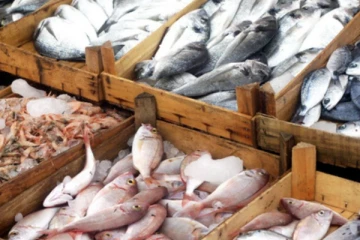 மீன்களின் விலைகளில் ஏற்படப்போகும் மாற்றம்!