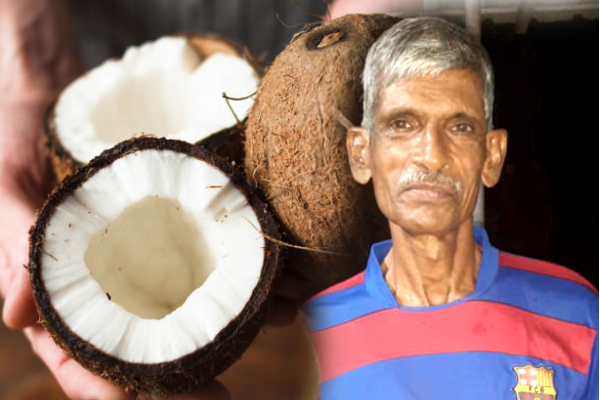 28 ஆண்டுகளாக தேங்காயை மட்டுமே உண்டு உயிர் வாழும் மனிதன்! | Only Coconuts Foods Pieces Indian Food Items Viral