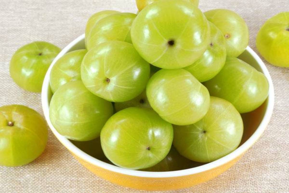ஒரு நாளைக்கு ஒரு நெல்லிக்காய் சாப்பிட்டால் உடலுக்கு என்ன பலன்? | Benefits Of Eating Gooseberry A Day For The Body