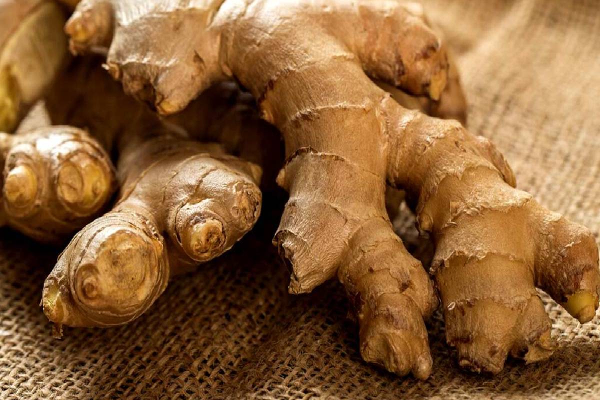 இஞ்சி சாப்பிட்டால் உயர் இரத்த அழுத்தம் குறையுமா? | Will Eating Ginger Lower High Blood Pressure