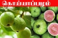Guava Benefits: கொய்யாப்பழத்தின் மருத்துவ நன்மைகள்
