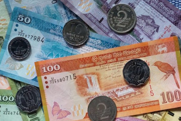 நாட்டில் உச்சம் தொட்டுள்ள போஞ்சி விலை! | Green Beans Price In Market After Cyclone Ditwah நாட்டில் உச்சம் தொட்டுள்ள போஞ்சி விலை! | Green Beans Price In Market After Cyclone Ditwah