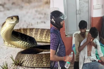 தம்பியை கடித்த பாம்பு - கன்னத்தில் 150 முறை அறைந்து உயிரை காப்பாற்றிய அண்ணன்