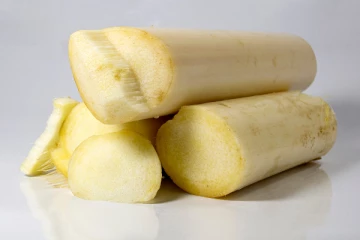 வாழைத்தண்டு சாப்பிடுவதால் உடலுக்கு இவ்வளவு நன்மைகள் வந்தடையுமா!