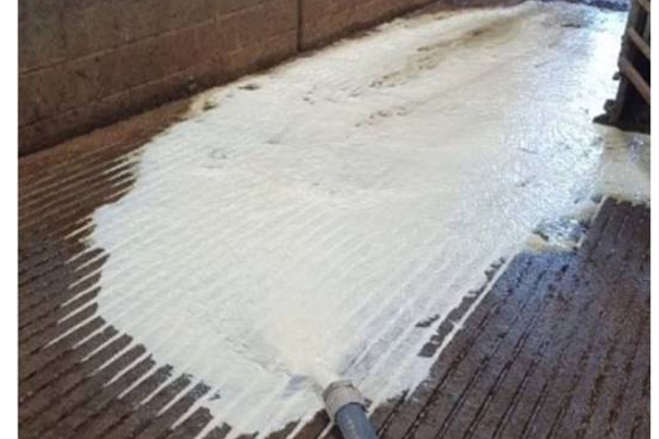 பிரித்தானியாவின் மோசமான நிலை: பல ஆயிரம் லிற்றர் பால்களிற்கு நேர்ந்த கதி | Uk Farmers Pouring Thousands Liter Milk Into Sewer