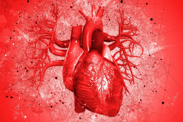 உயர் ரத்த அழுத்தம் முற்றிப்போனால் இந்த மூன்று உறுப்புக்களை பாதிக்கும் - விளக்கம் இதோ | Side Effects Of High Blood Pressure Heart Kidney உயர் ரத்த அழுத்தம் முற்றிப்போனால் இந்த மூன்று உறுப்புக்களை பாதிக்கும் - விளக்கம் இதோ | Side Effects Of High Blood Pressure Heart Kidney