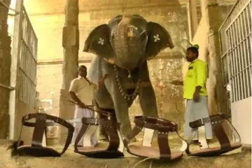 என்னது யானைக்கு செருப்பா? விலை எவ்வளவு தெரிந்தால் ஷாக் ஆகிடுவீ்ங்க