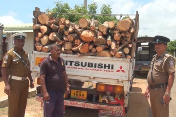 சட்டவிரோதமாக தேக்கு மரக்குற்றிகளை ஏற்றிச் சென்ற நால்வர் கைது