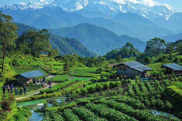 இந்தியாவிலேயே வருமான வரி இல்லாத ஒரே மாநிலம்.., எது தெரியுமா? | Which State In India That Does Not Have Income Tax