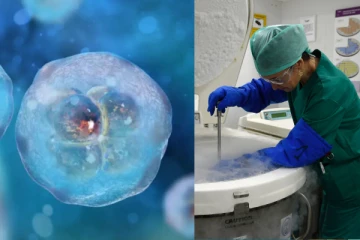 கருமுட்டை, விந்து இல்லாமல் குழந்தை! விஞ்ஞானிகள் புதுமுயற்சி