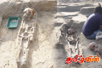 யாழ் - செம்மணி மனித புதைகுழியில் இதுவரை பல மண்டையோட்டு தொகுதிகள் மீட்பு