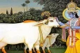 இதை செய்துவிட்டு லட்சம் பசுக்களை தானம் செய்தாலும் பாவம் தீராது