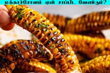 மக்காச்சோளம் ஏன் சாப்பிட வேண்டும்? நீரிழிவு நோயாளிகள் கட்டாயம் தெரிஞ்சிக்கோங்க