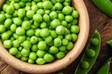 அன்றாட உணவில் பச்சை பட்டாணி சேர்த்துக்கொள்வதால் கிடைக்கும் நன்மைகள் என்ன?