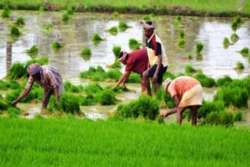 இலங்கையில் விவசாயிகளுக்கான மகிழ்ச்சியான அறிவிப்பு!